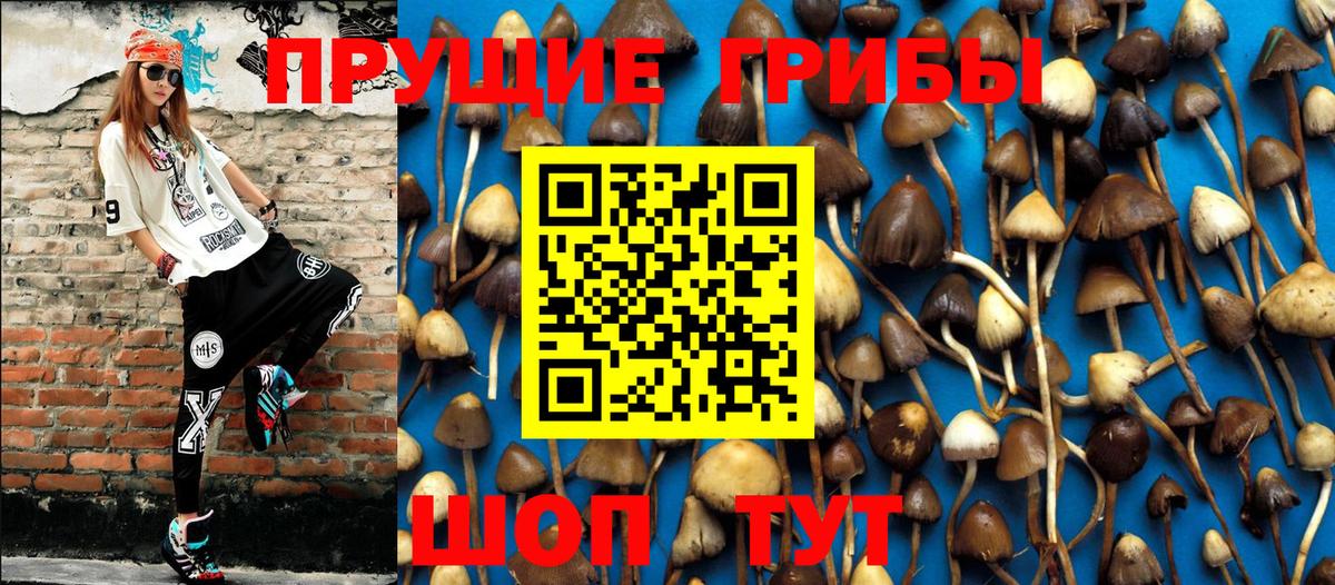 Галлюциногенные грибы MAGIC MUSHROOMS Нарткала