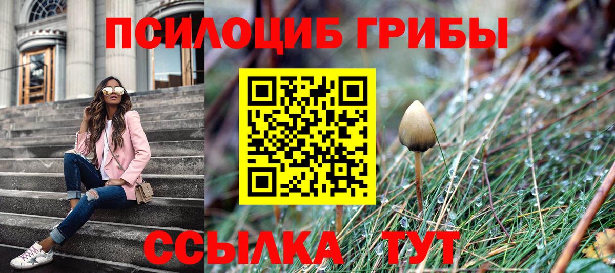 Галлюциногенные грибы мухоморы  магазин  наркотиков  Нарткала  Псилоцибиновые грибы мухоморы  Вход с VPN 